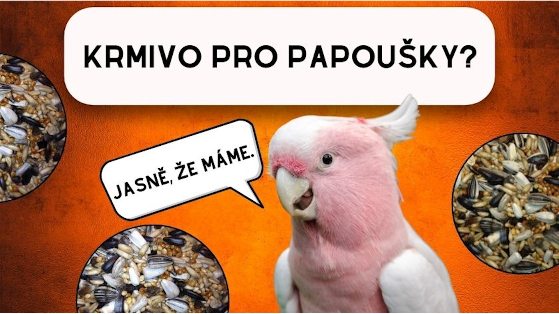 Krmivo pro papoušky