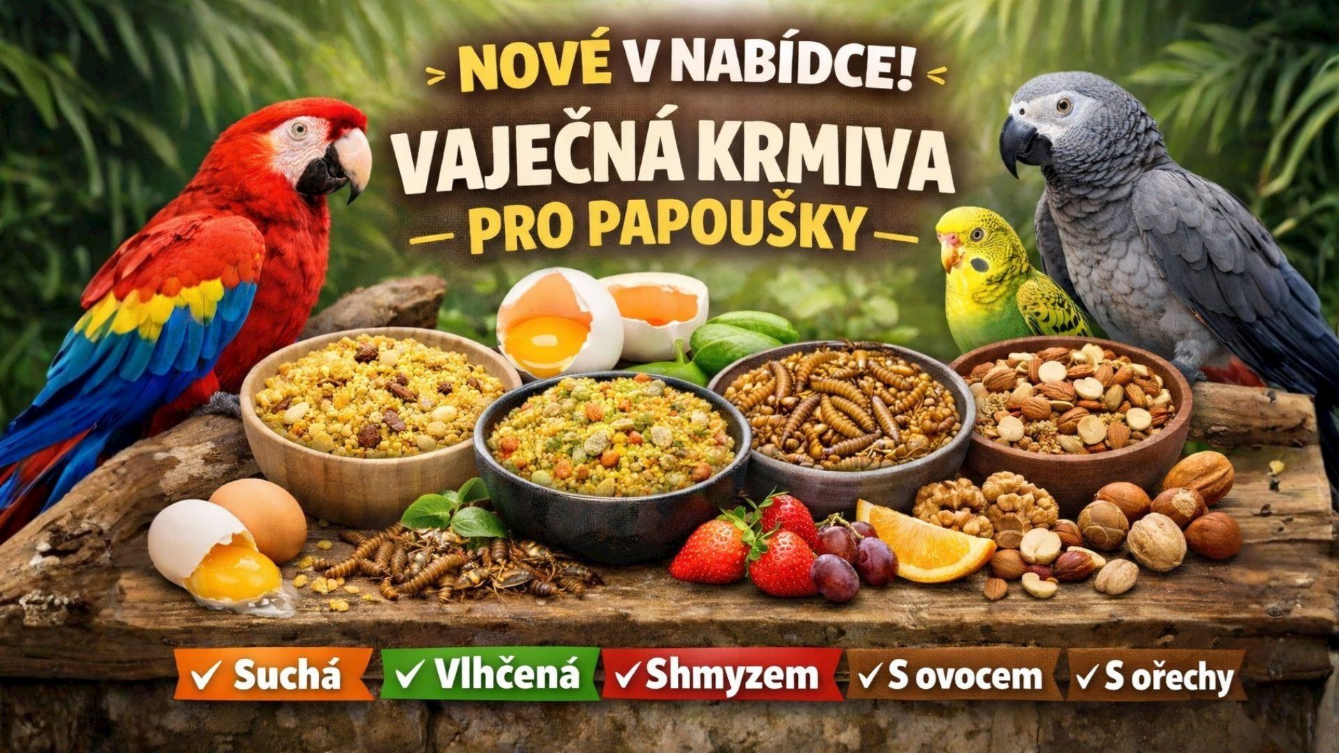 NOVINKA - VAJEČNÁ KRMIVA