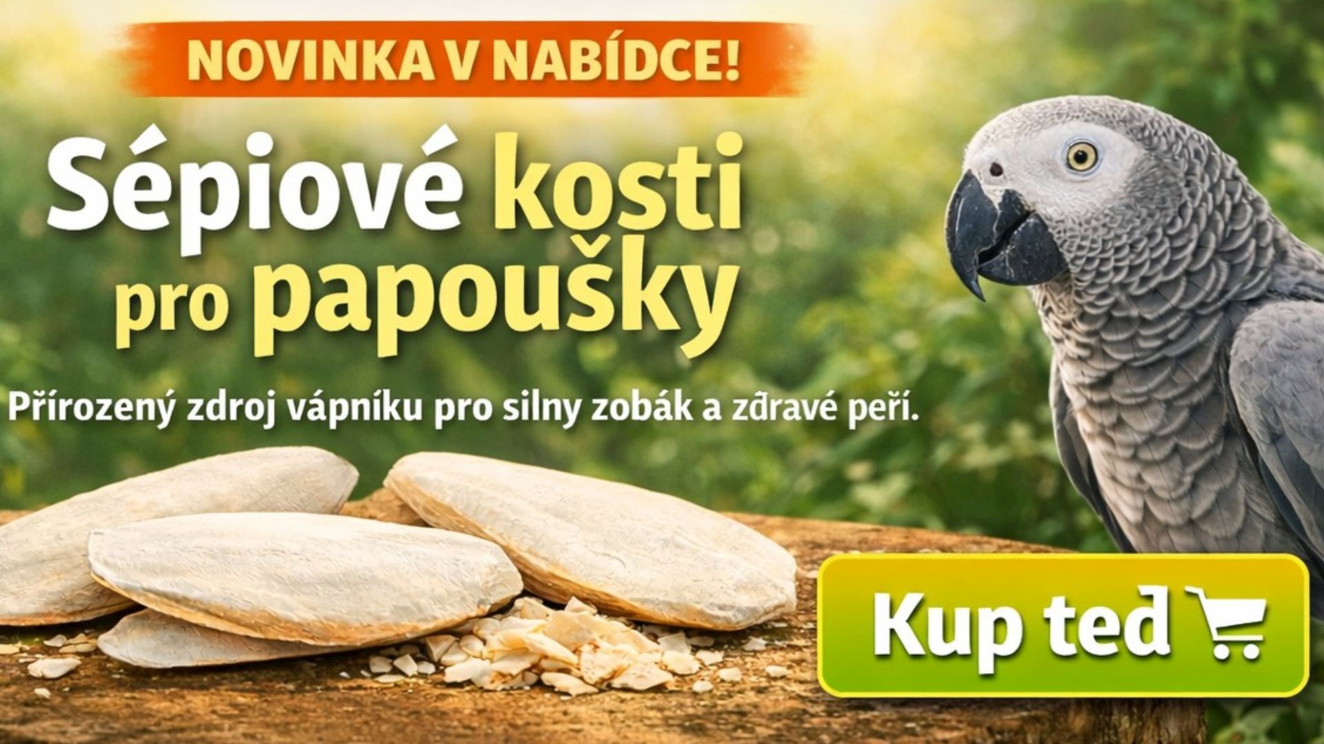 Sépiové kosti - Novinka v nabídce!