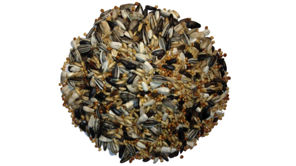 Směs pro střední papoušky 08