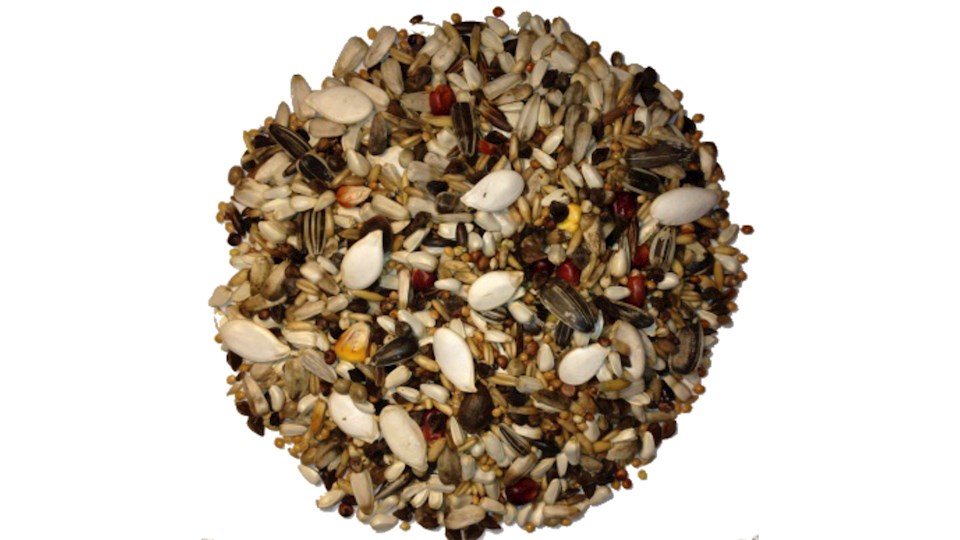 Směs pro velké papoušky 17