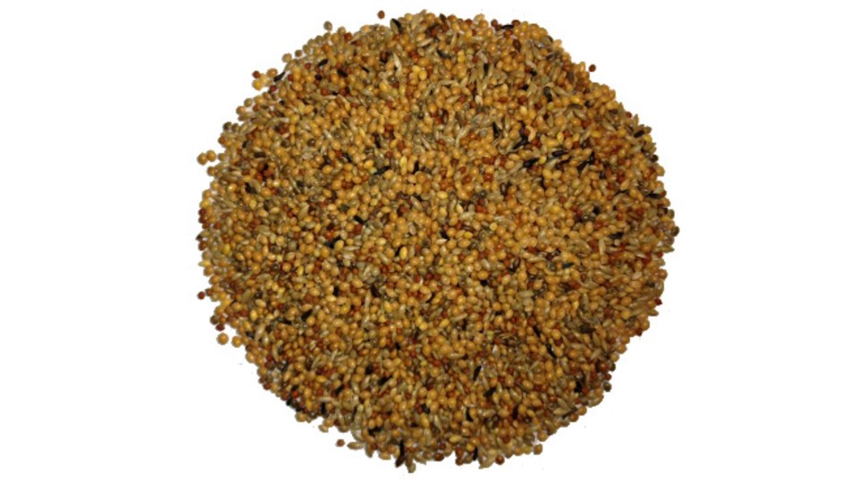 Směs pro zebřičky 06 (Astrild)