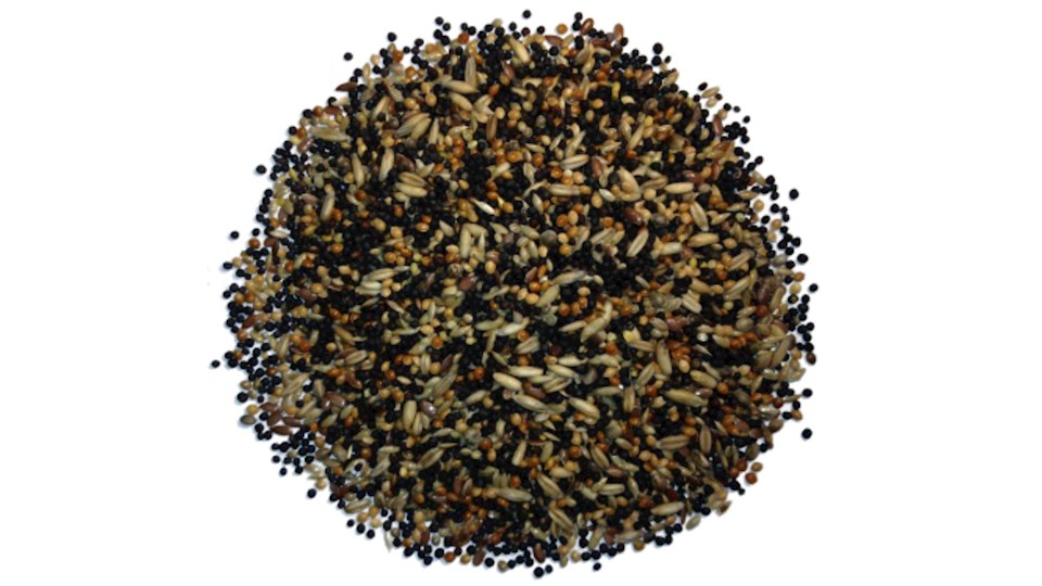 Směs pro kanáry 13