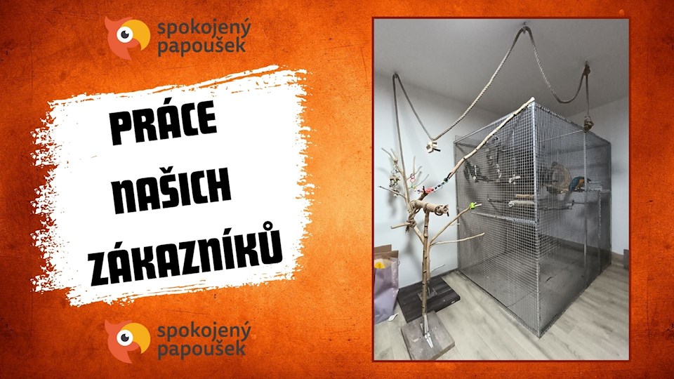 Stavebnice voliéry 2x1,5x2m ECONOMY