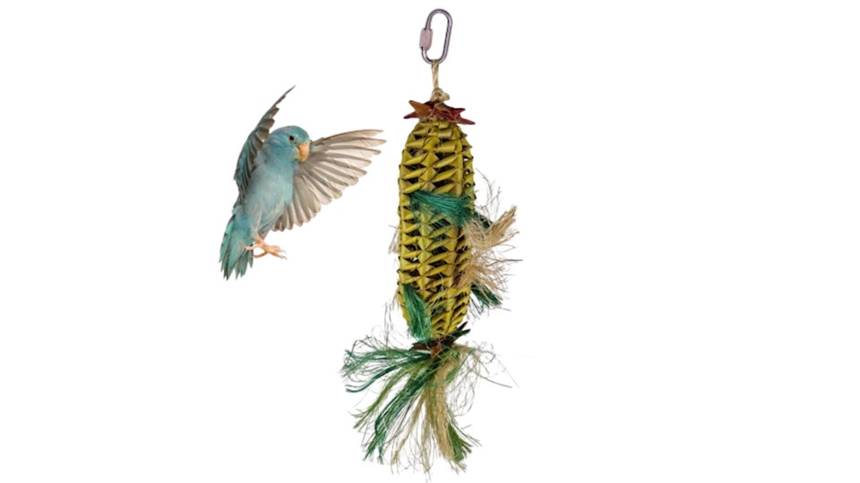 Melounová piňata malá 