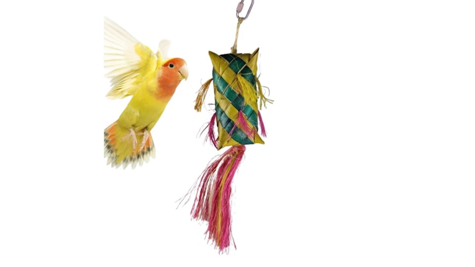 Karnevalová piňata