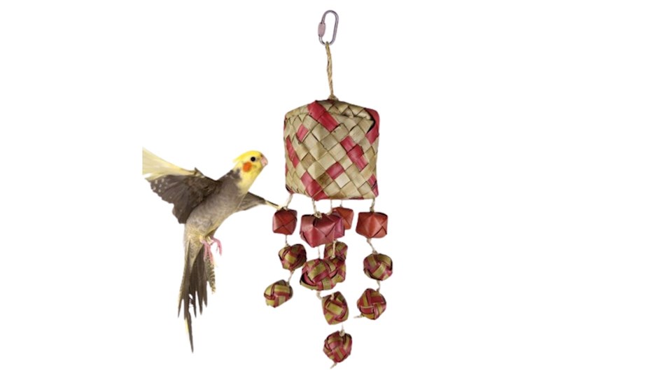 Krabka s překvapením