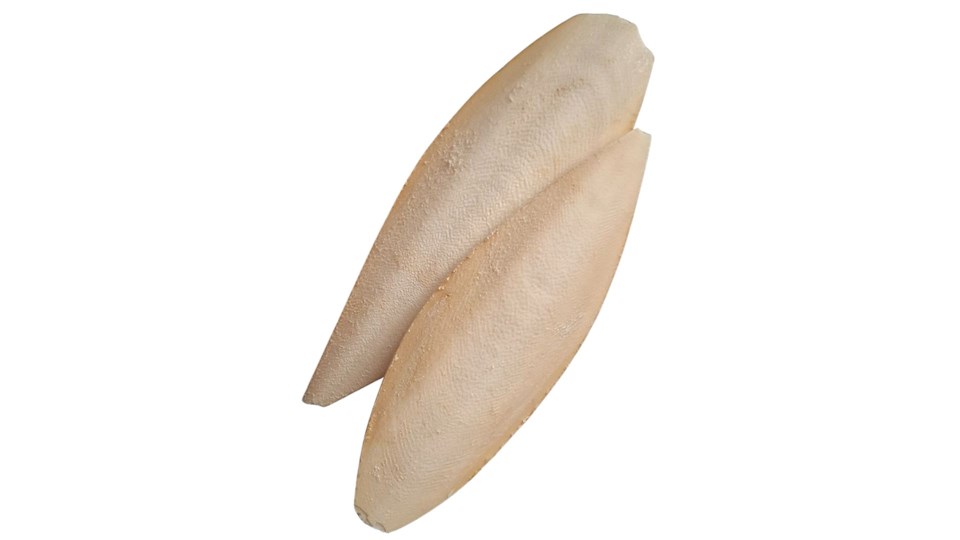 Sépiová kost přírodní 12 - 15cm