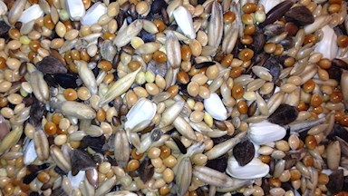 Směs pro střední papoušky 12 (Agapornis)