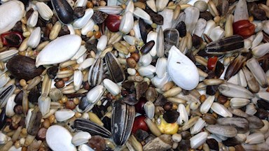 Směs pro velké papoušky 17