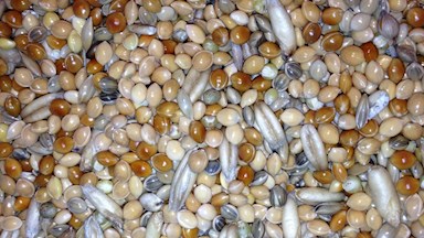 Směs pro andulky 04