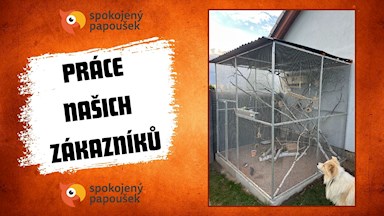 náhled č. 10