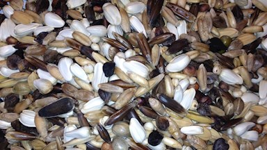 Nakličovací směs 23