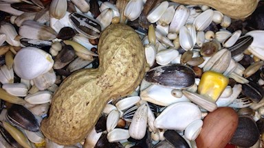 Směs pro velké papoušky 19