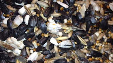 Zimní krmítková směs 40