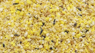 Vaječná směs Witte Molen - EGGFOOD MOIST YELLOW